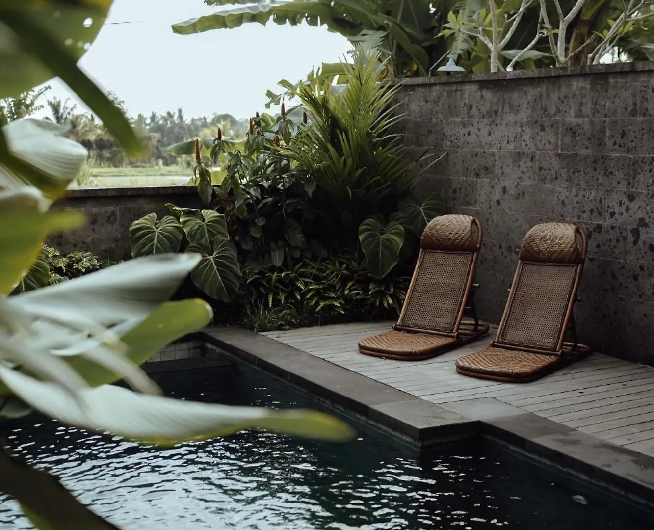 Wakasuta House Bed & Breakfast Ubud  Ubud (Bali)