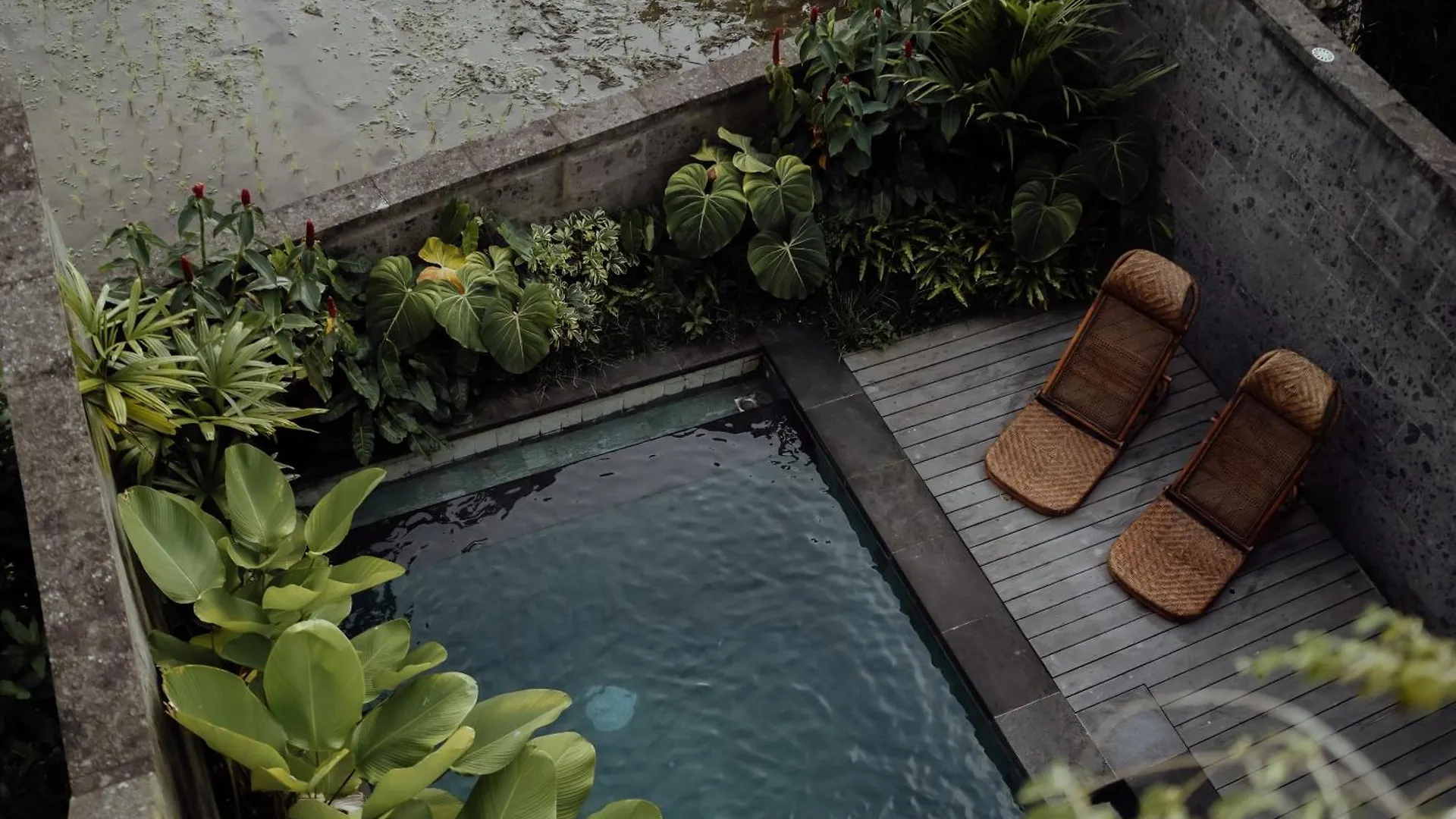 ウブド Wakasuta House Bed & Breakfast インドネシア