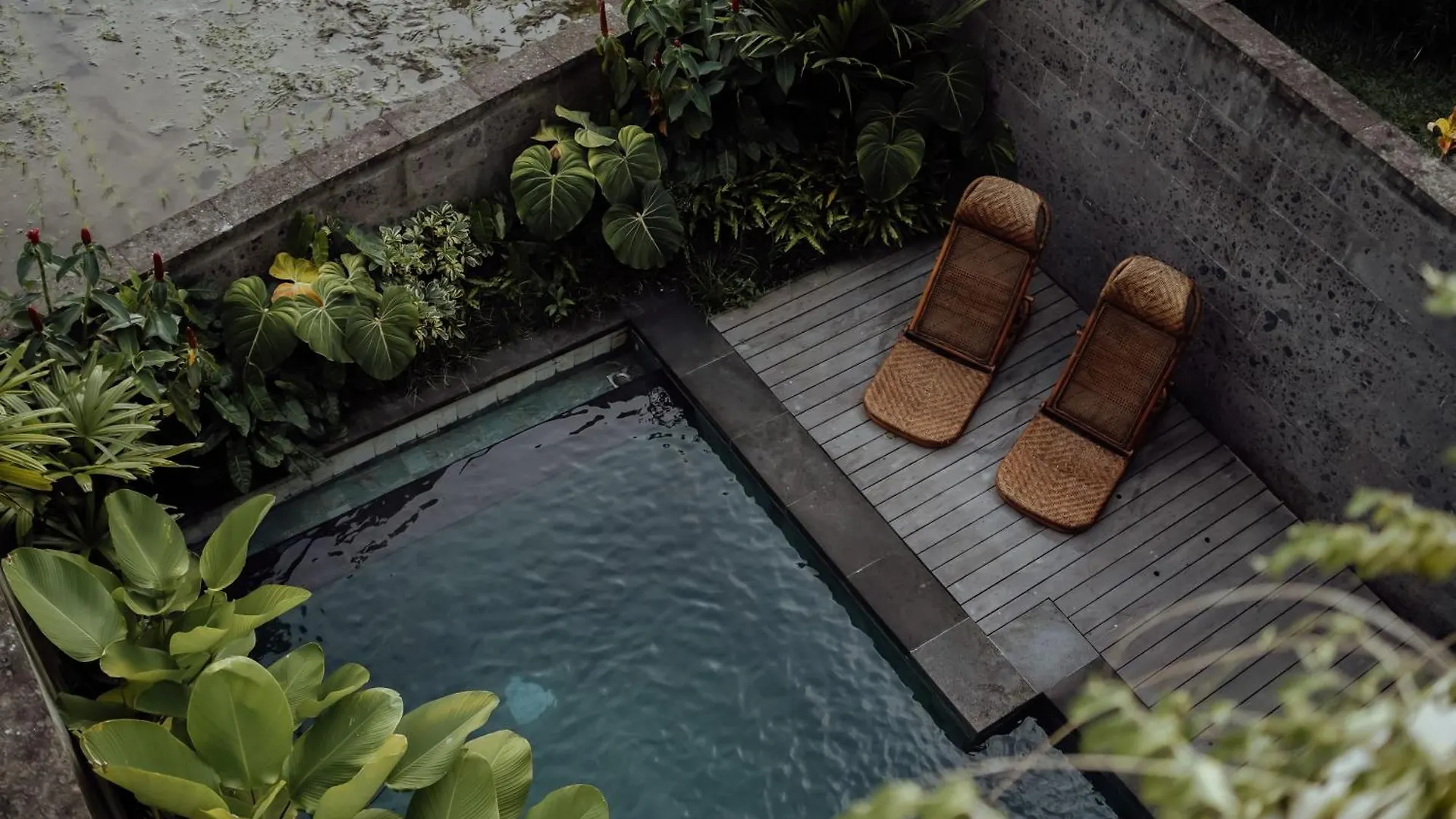 ウブド Wakasuta House Bed & Breakfast
